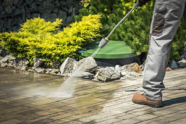 Best Pool Deck Cleaning in Downey, CA