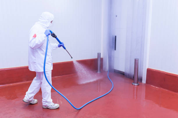 Best Building Exterior Pressure Washing in Downey, CA